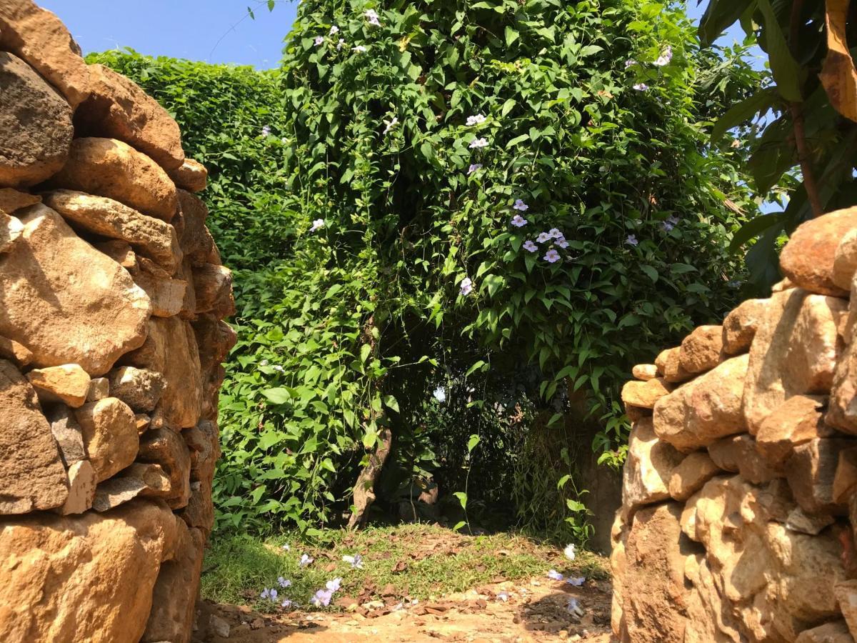 Earth House Sri Lanka Villa Neboda Eksteriør bilde