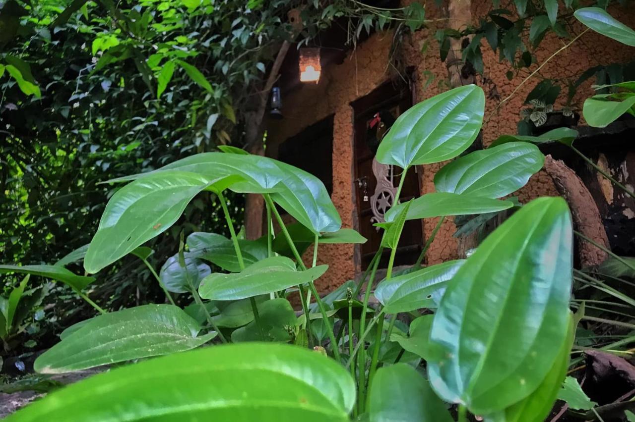 Earth House Sri Lanka Villa Neboda Eksteriør bilde