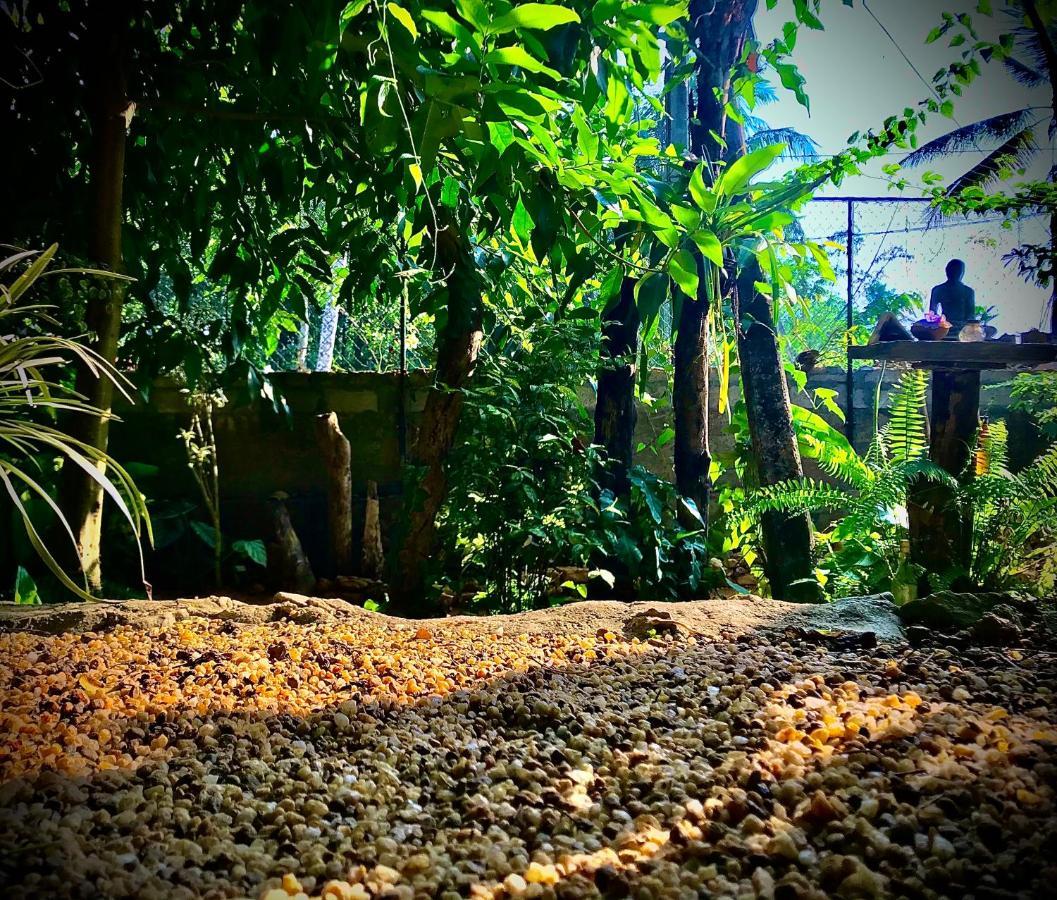 Earth House Sri Lanka Villa Neboda Eksteriør bilde