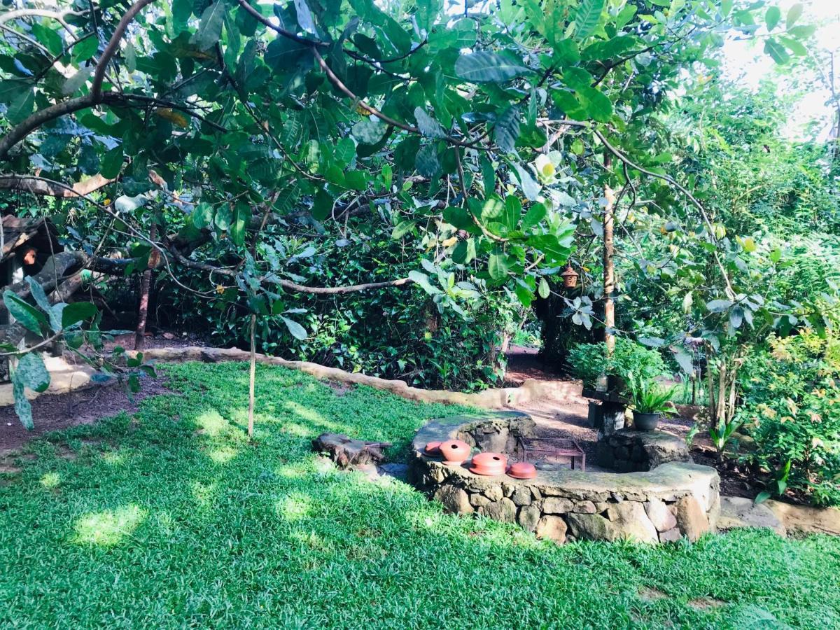 Earth House Sri Lanka Villa Neboda Eksteriør bilde